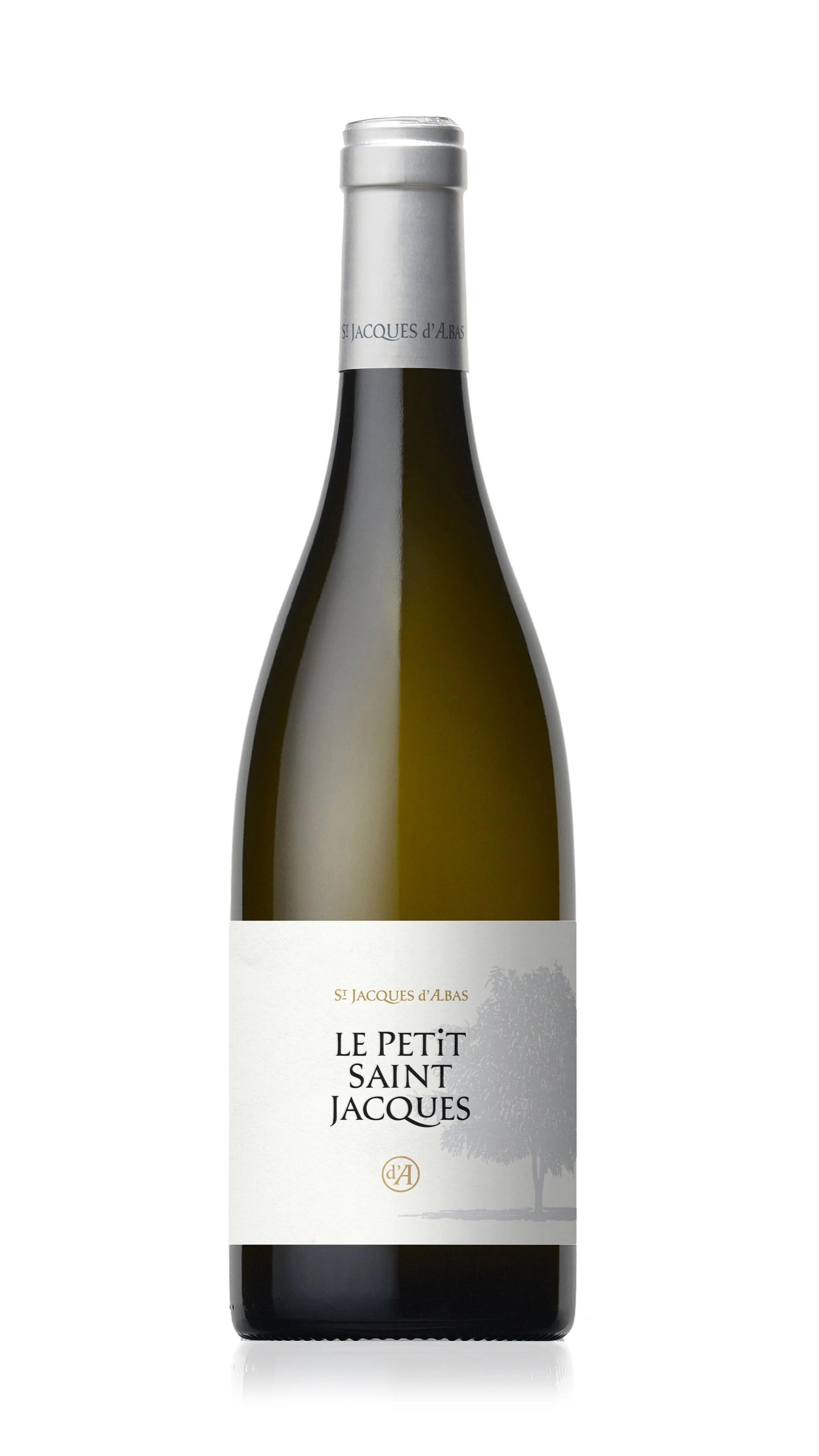 Petit Saint Jacques - White