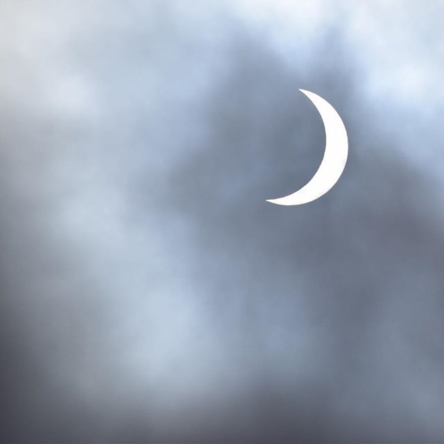 We had the perfect cloud cover this morning for viewing the eclipse!
While it wasn't &quot;total&quot; from our vantage point in the East Bay Area, it was still such an awe-inspiring event. I caught this shot from my backyard. Amazing!
Also.. the Aug
