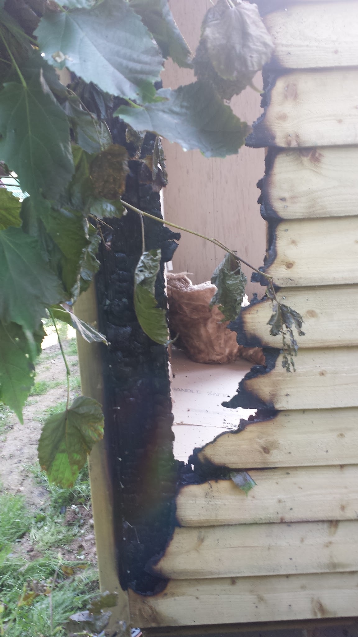 20140622_103356.jpg