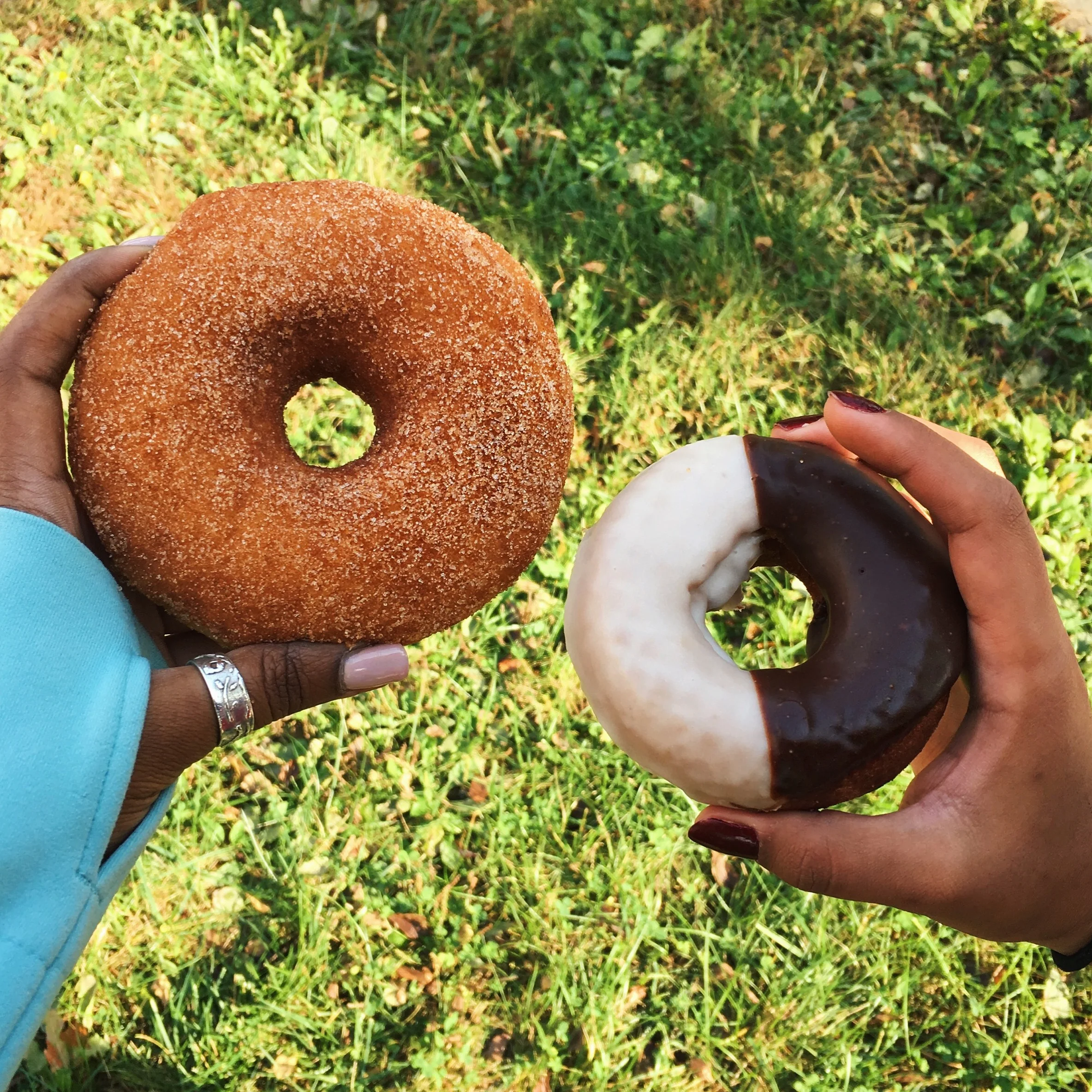 Saigon Cinnamon Sugar - Black & White Donuts