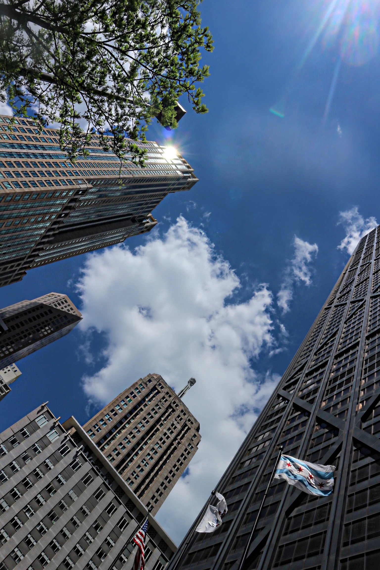 Meet the Member | Windy City Blogger Collective