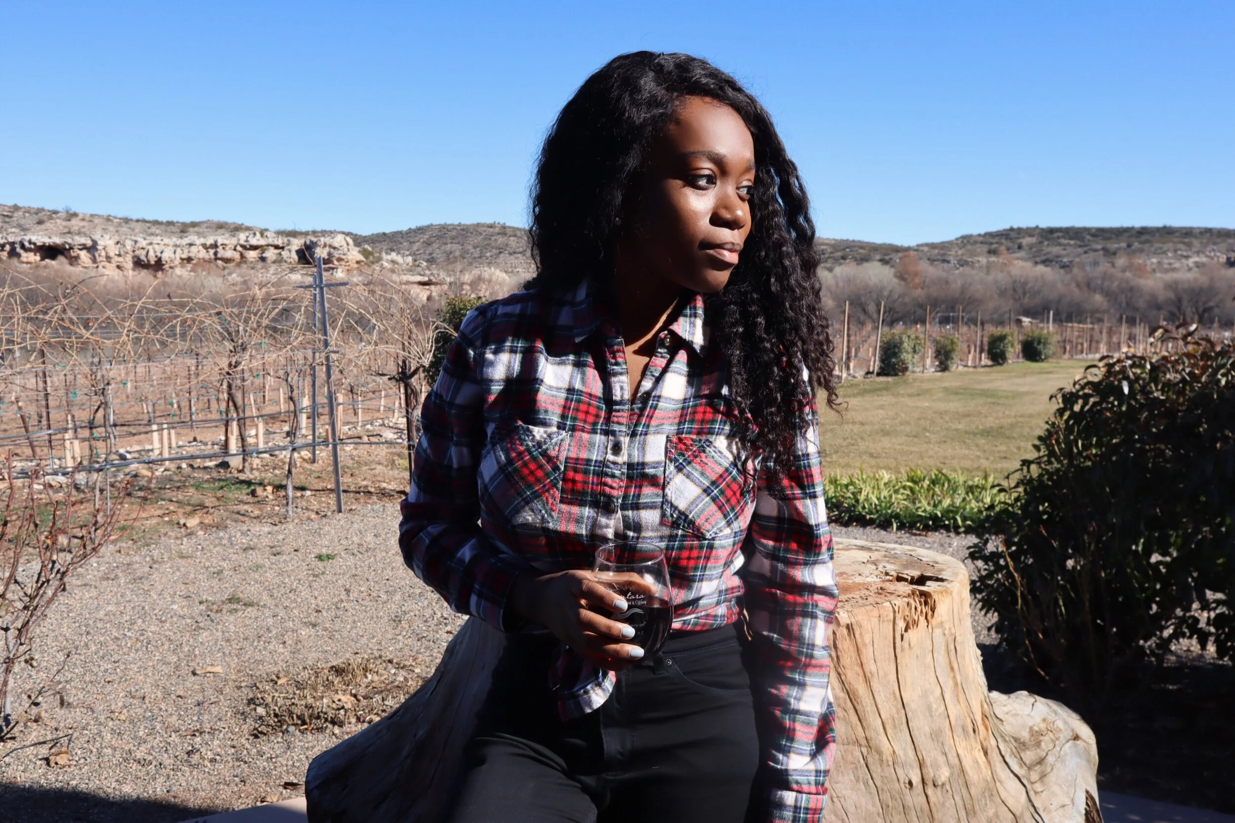 Sights & Musings from Arizona