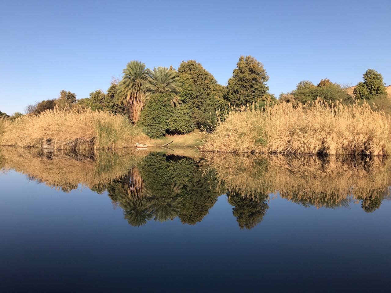 views from the felucca. look at that reflection!