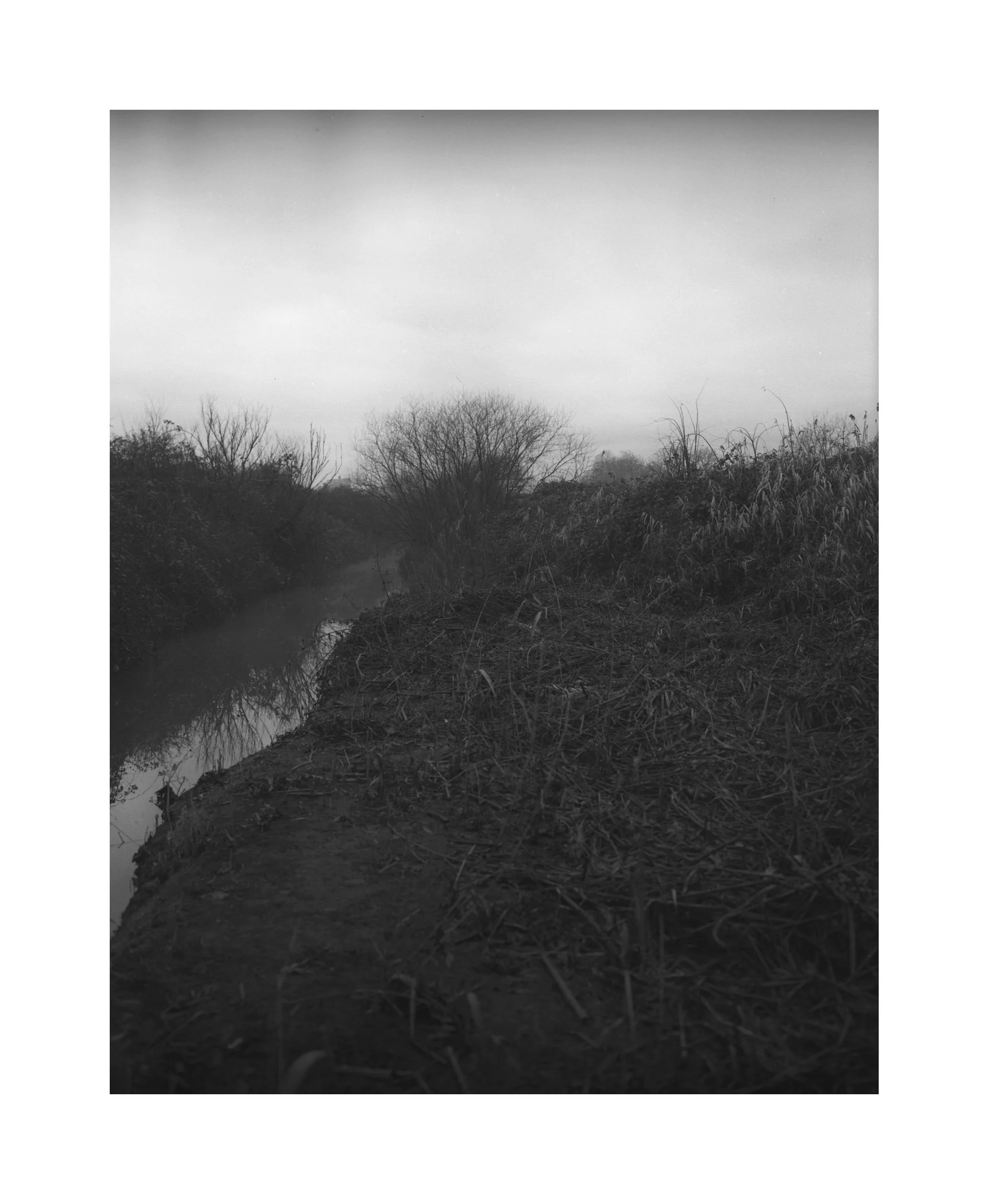 IMG_3354.jpeg