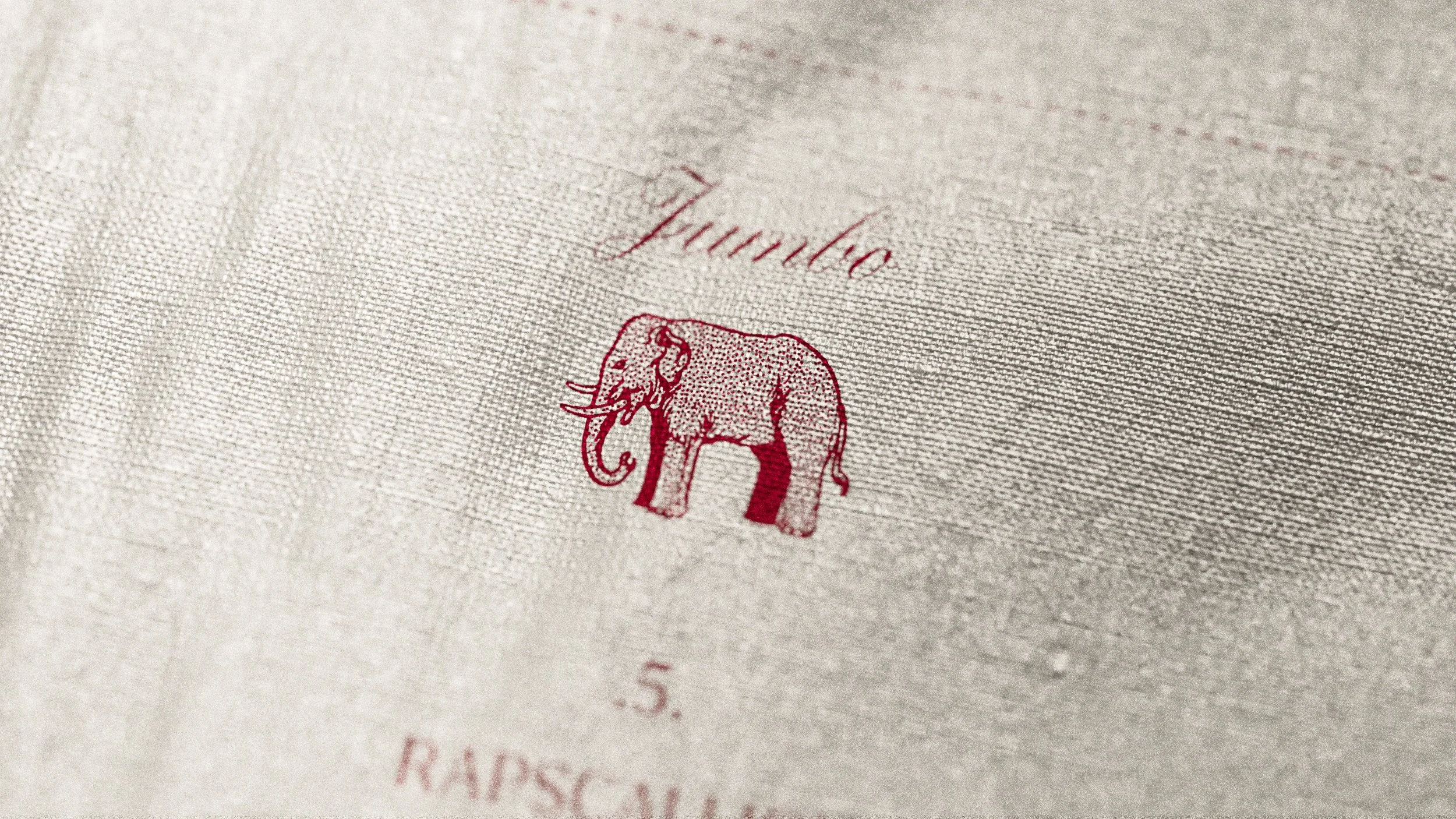 jumbo close copy.jpg