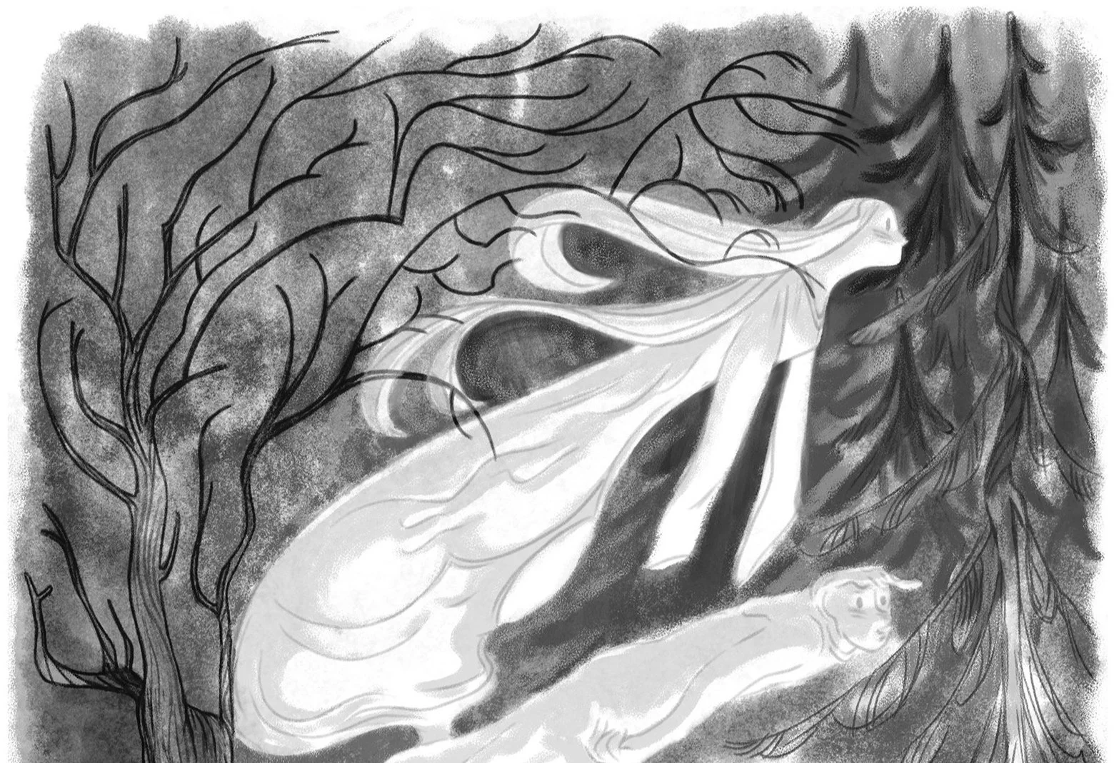 Demelza studies — Gaia Alessi