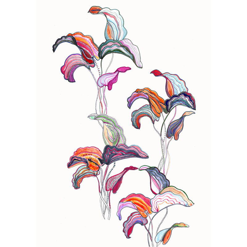 oriental-flower-eleni-malami-illustration-web.jpg