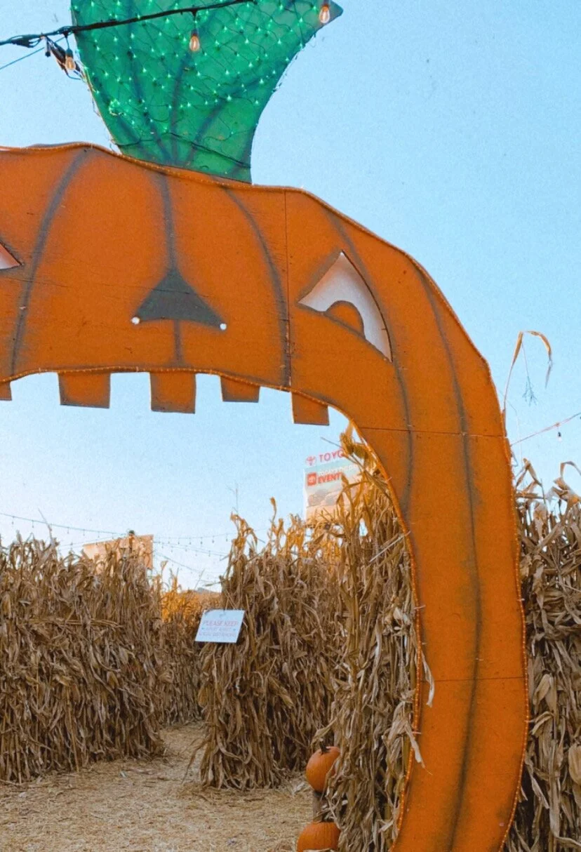 Downtown Chicago's Pumpkin Patch Experience