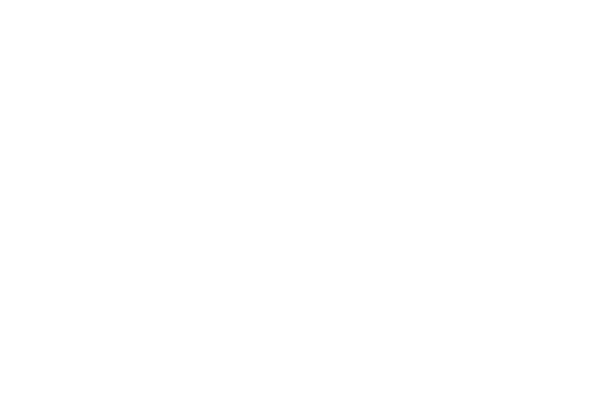 GOAL ACHIEVEMENT