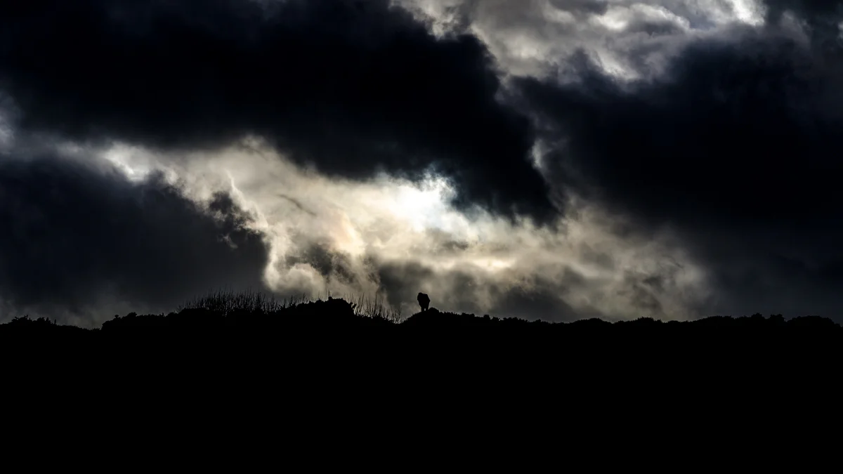 RolandParnaud-Dublin-(8).jpg