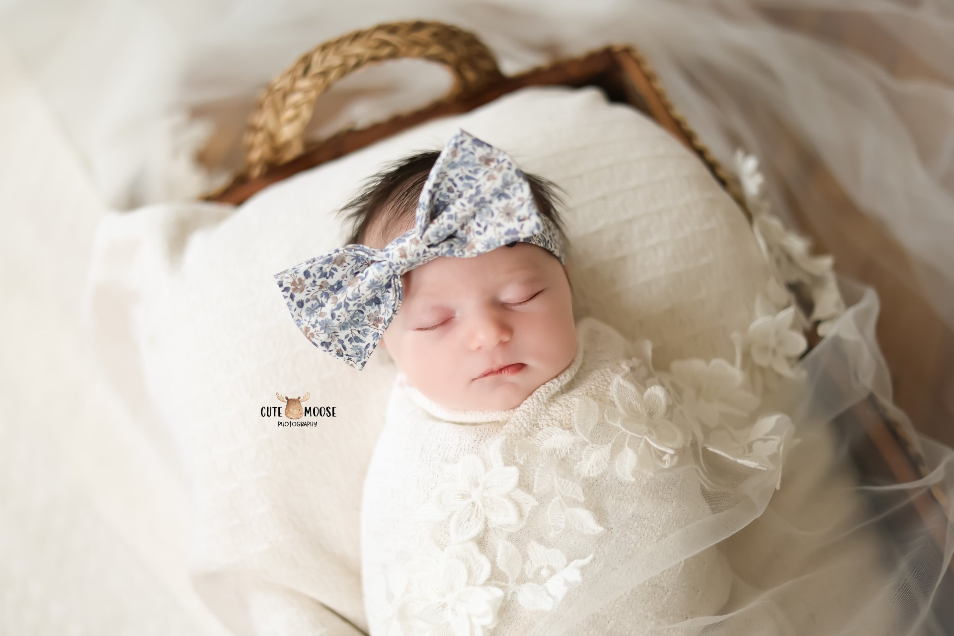 Stella Jade (25).jpg