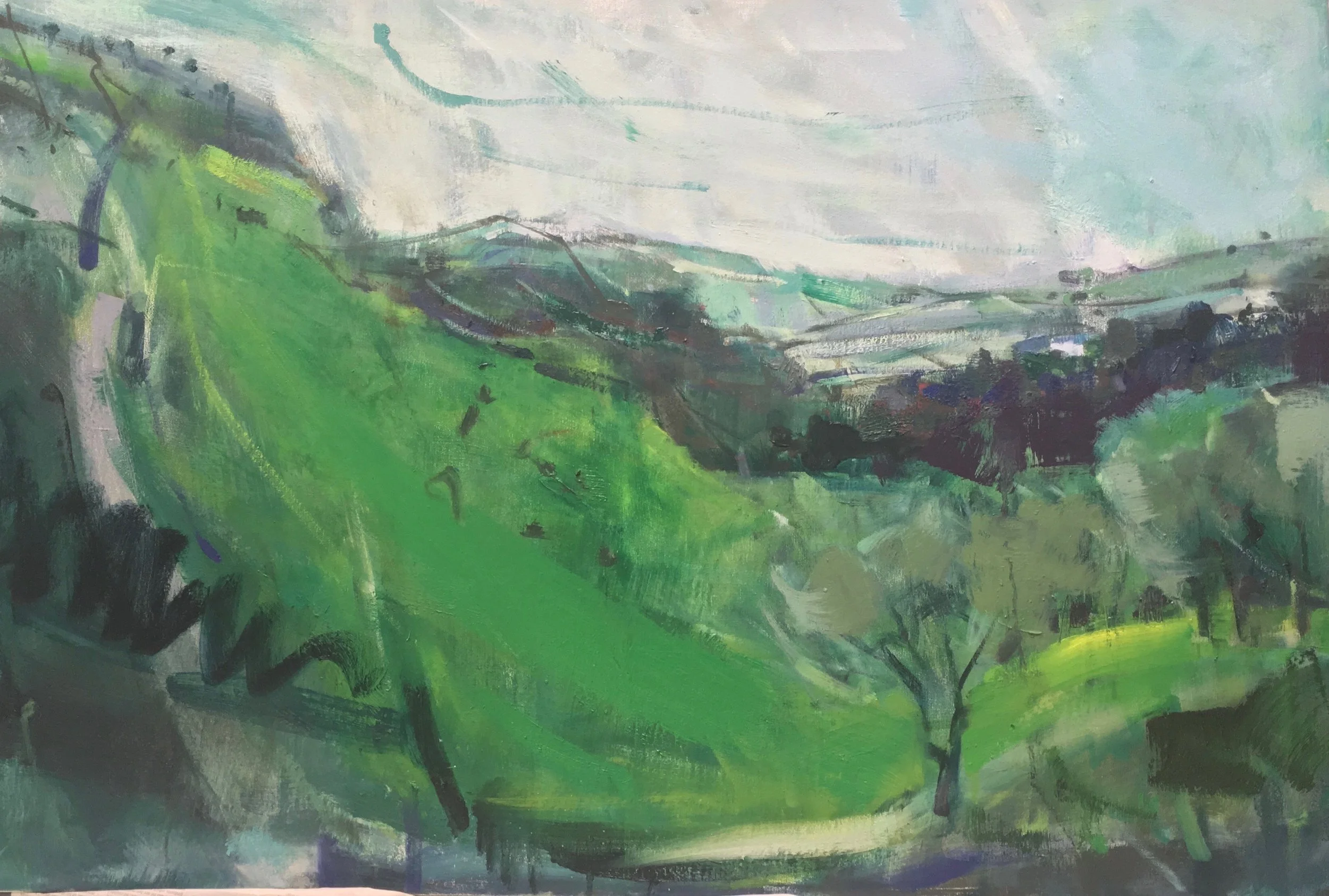 Rook woods oil on canvas . 60 x 90 cm
