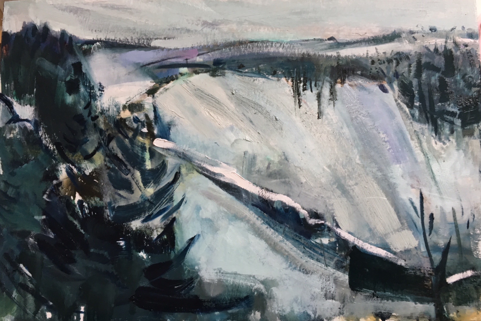 February fir trees oil on board. 38 x 76 cm