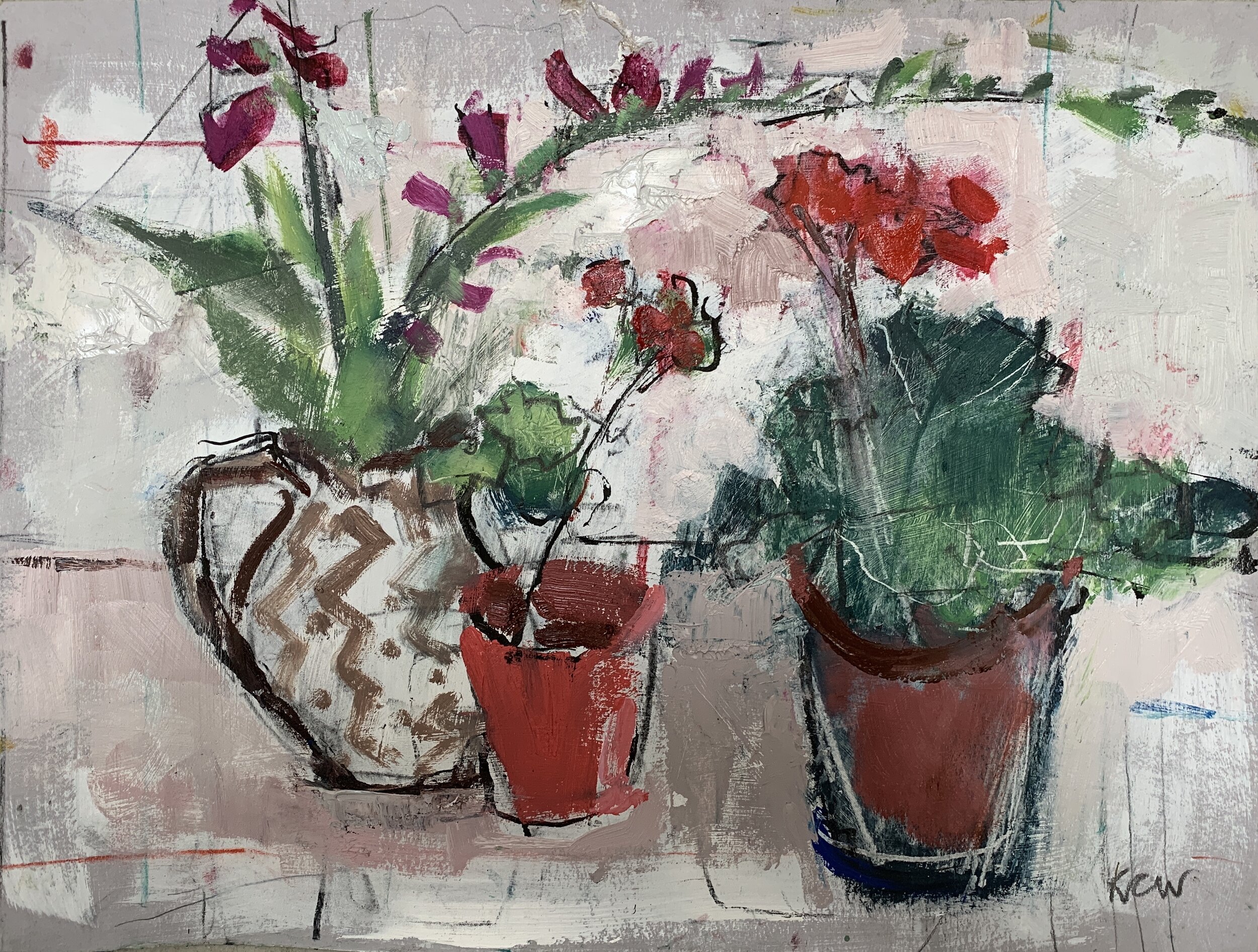 Geraniums oil on paper 51 x 77 cm