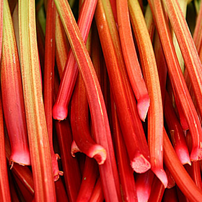 Rhubarb_PICTUREFB.png