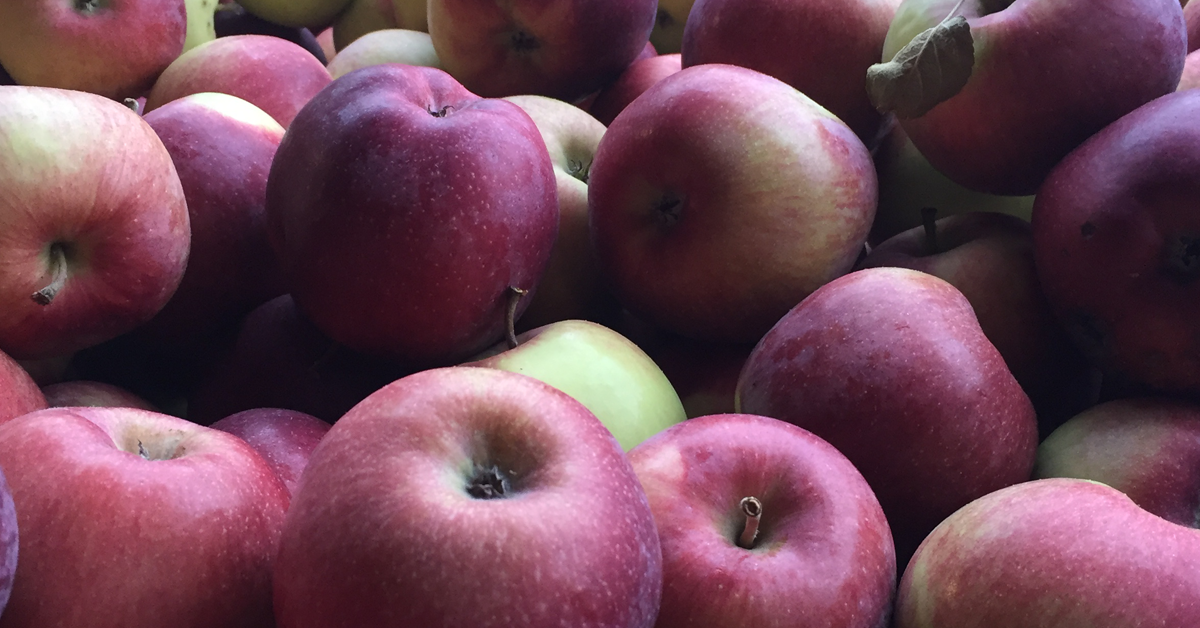 Apples_FB_Jan.png
