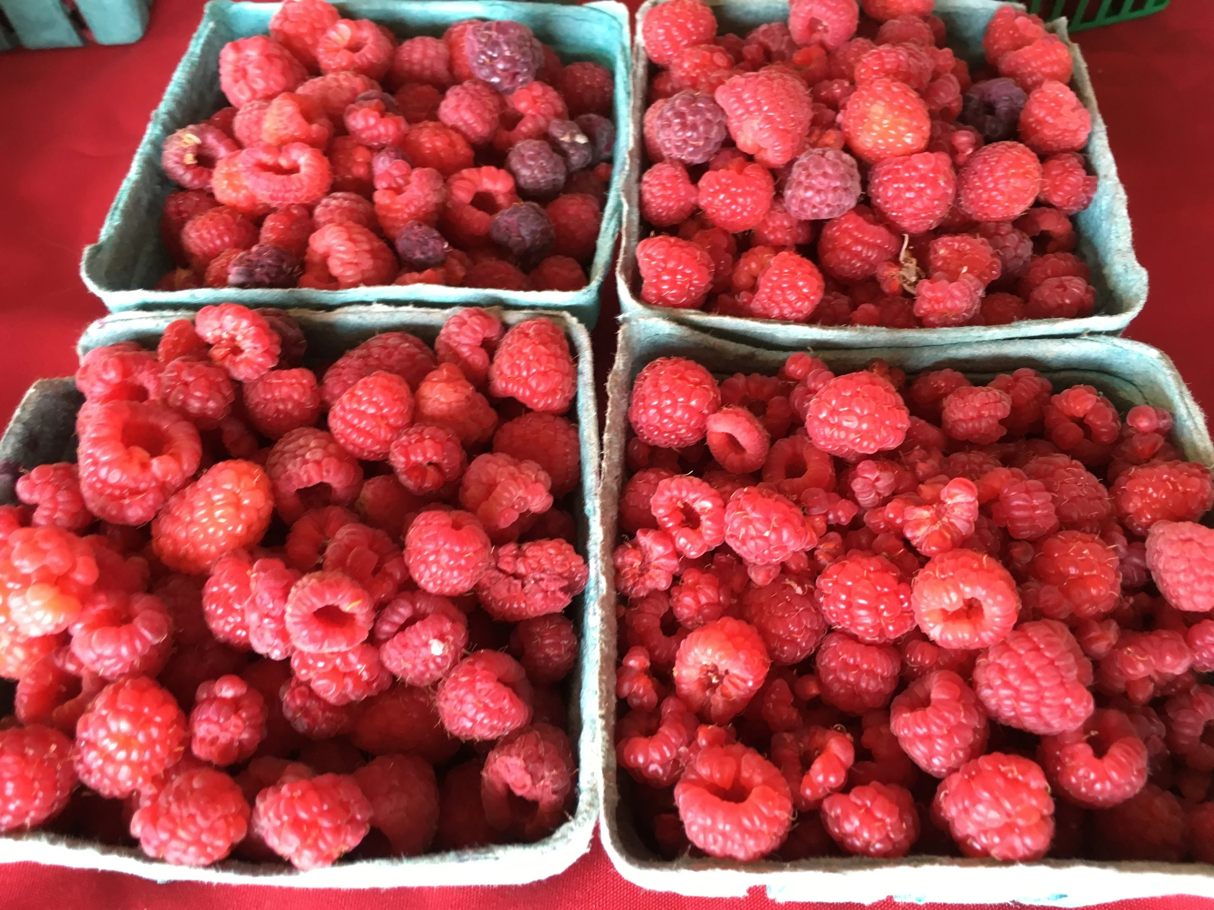 Raspberry Festival Recipes