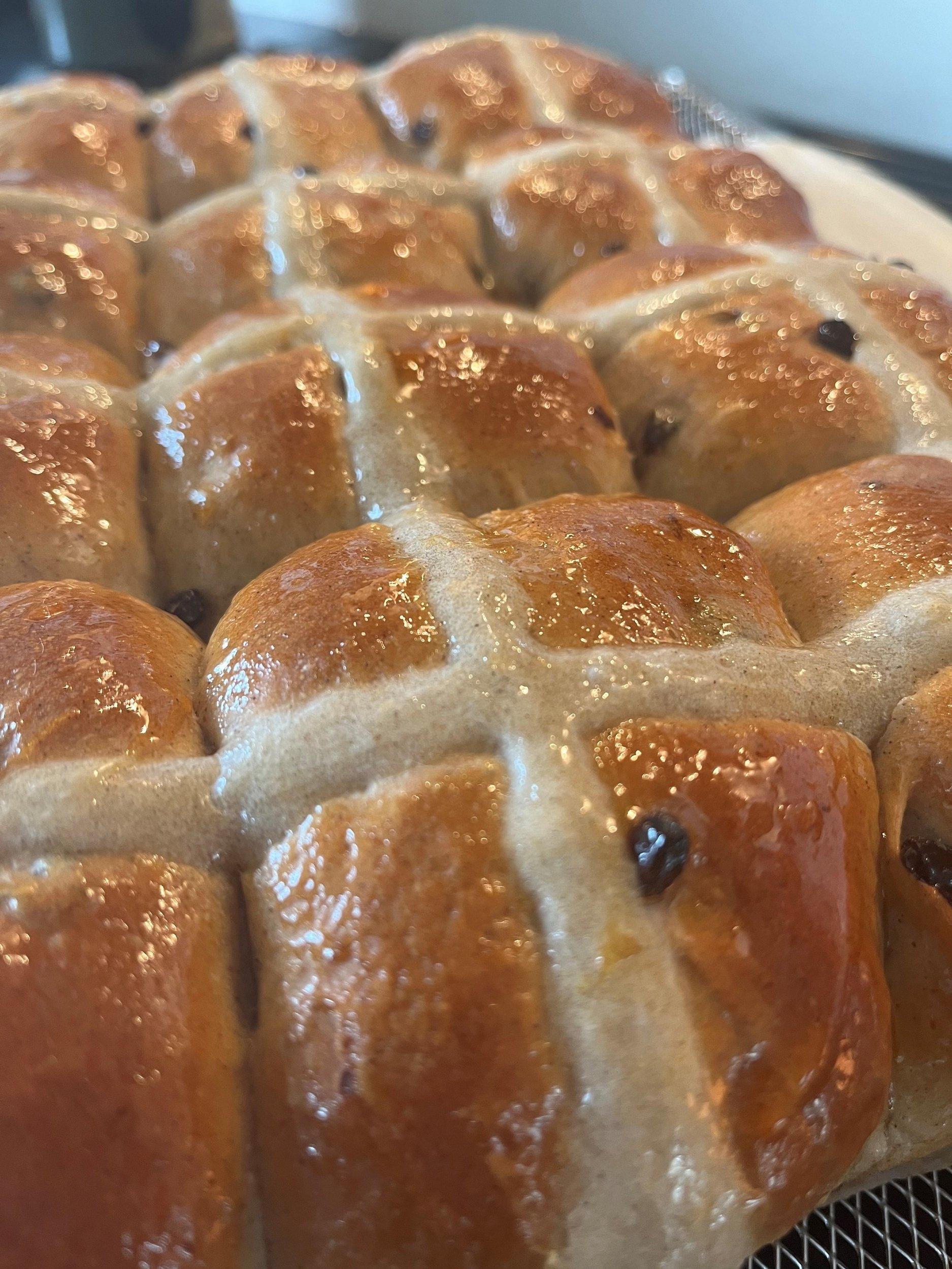 hot+cross+buns.jpg