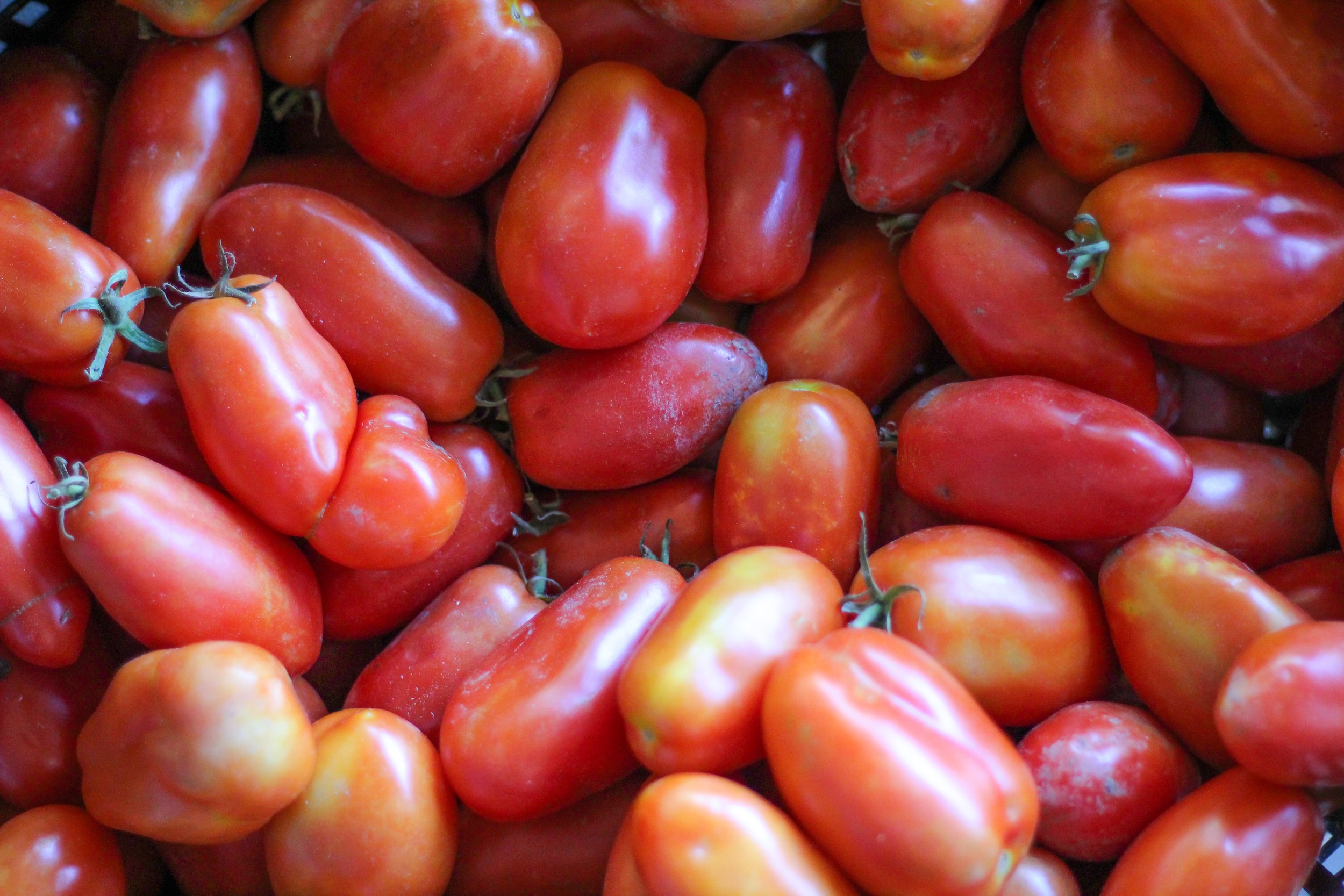 MarketProduce-02 (1).jpg