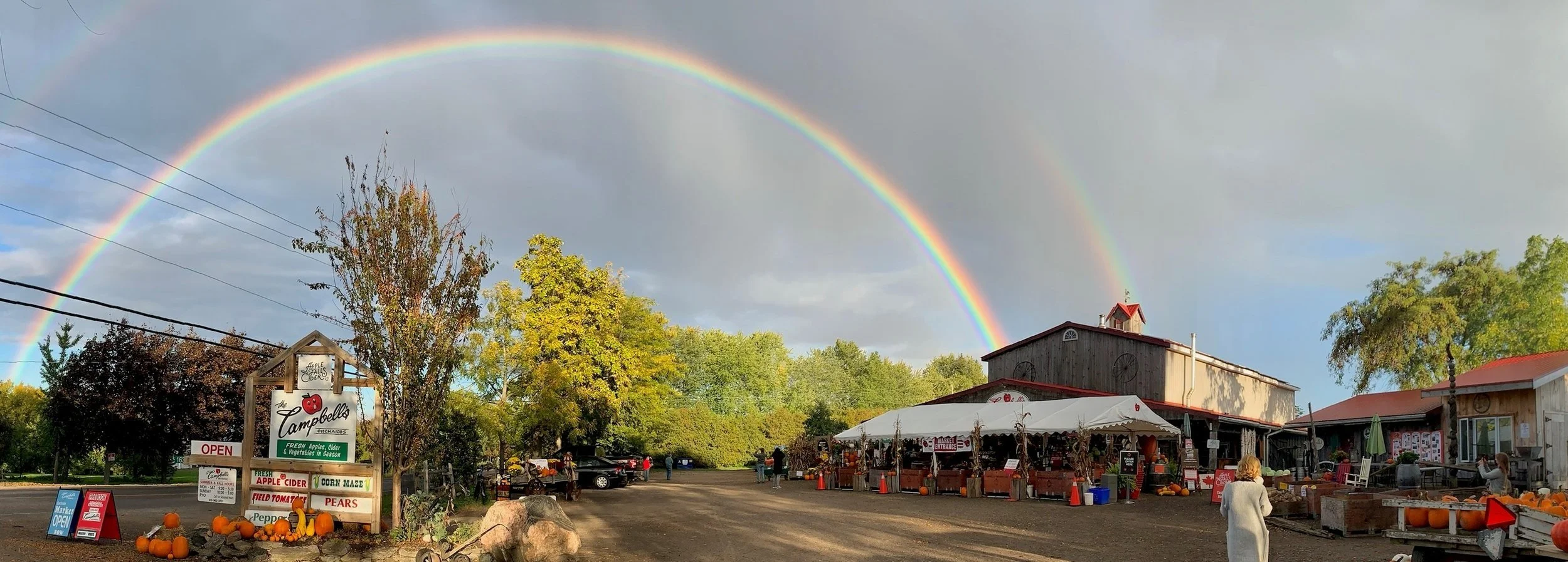 rainbow store.jpg