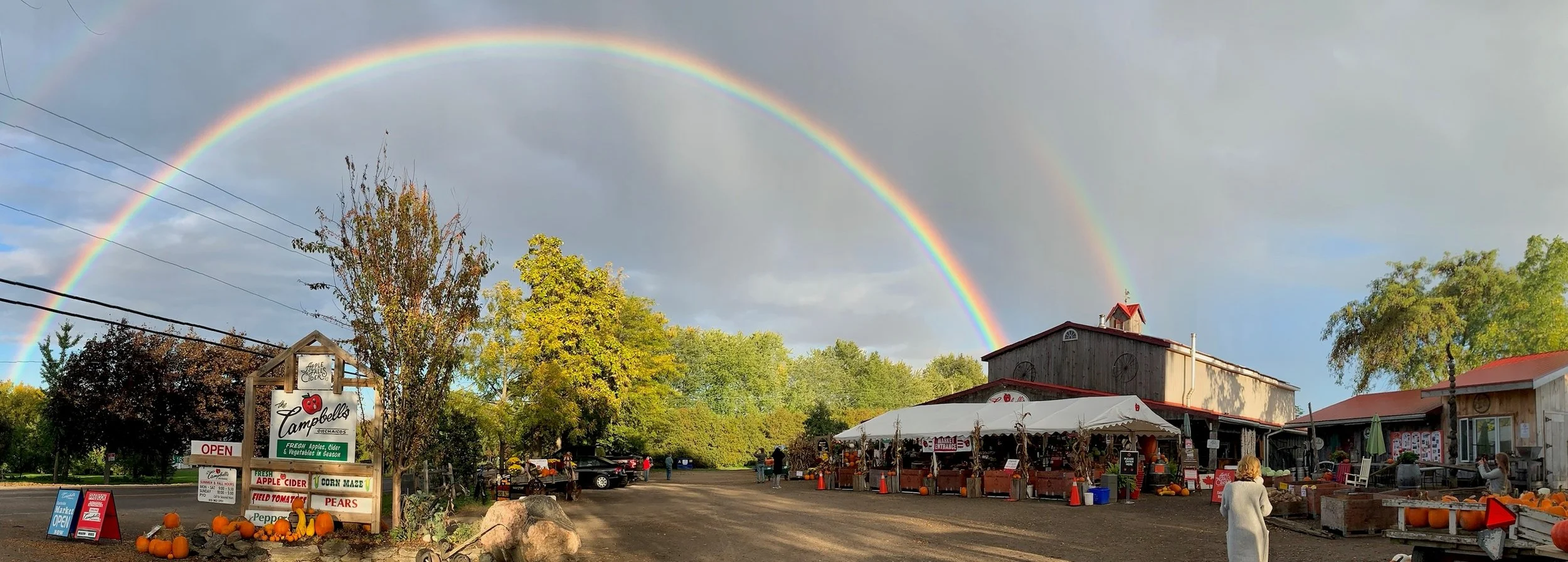 rainbow store.jpg