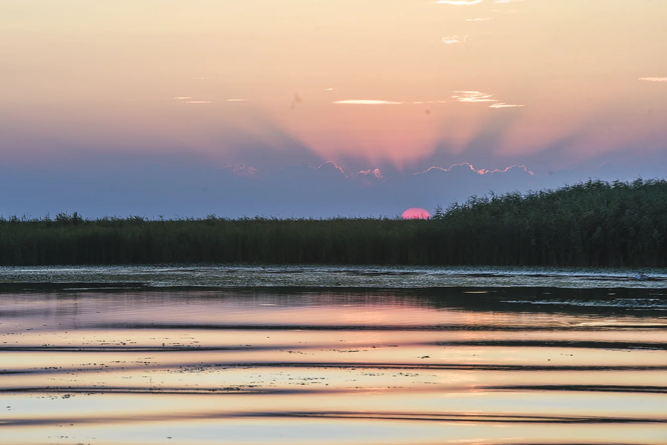 Danube Delta (43 of 43)@72.jpg