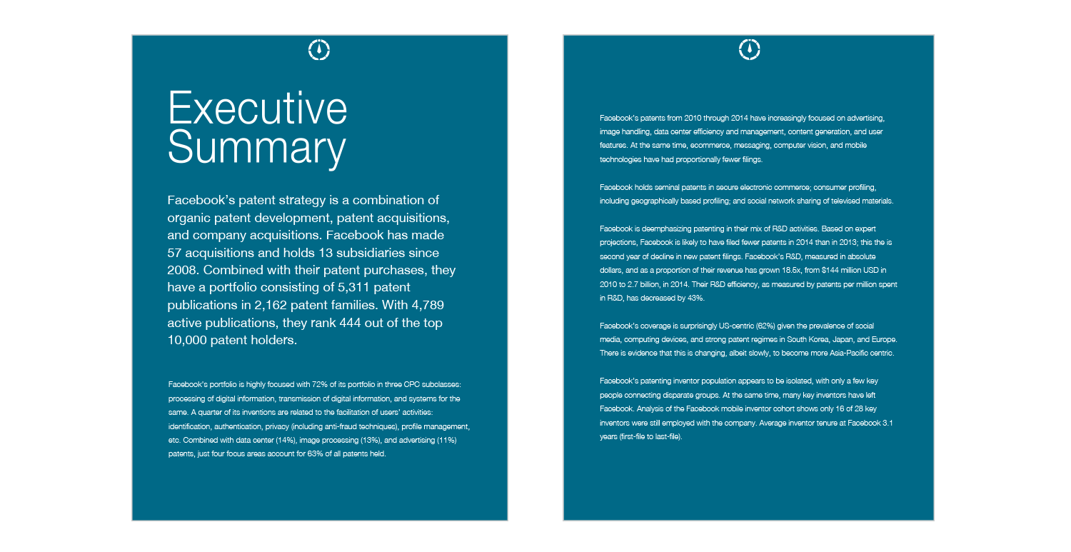 CS Executive Summary 2-Up.png