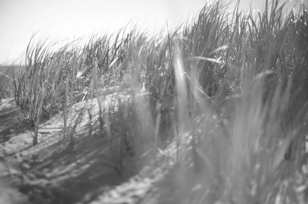 Summer Algorithm-20.jpg
