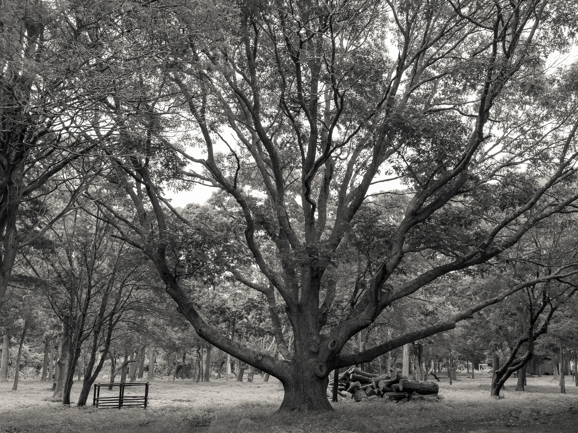 SW Farm (1 of 1).jpg