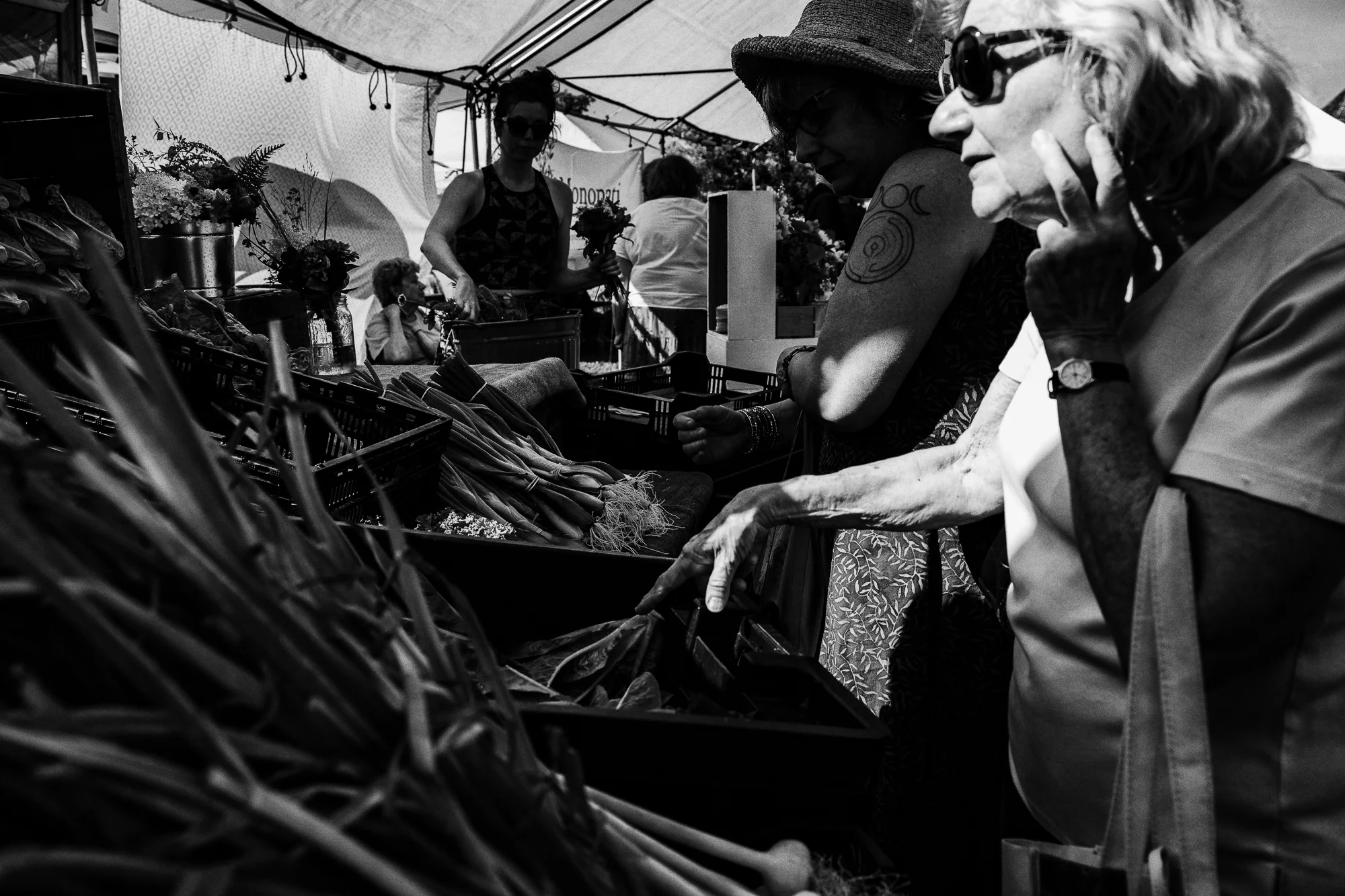 Orleans Farmers Market