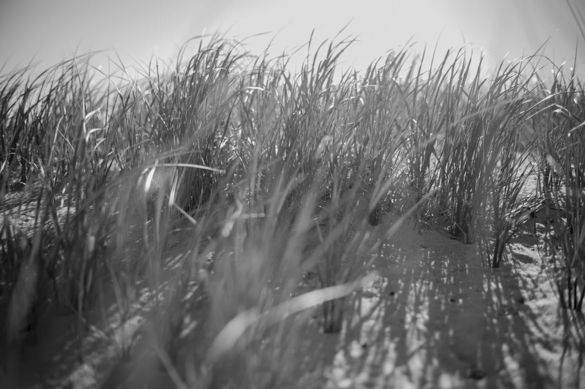 Summer Algorithm-7.jpg