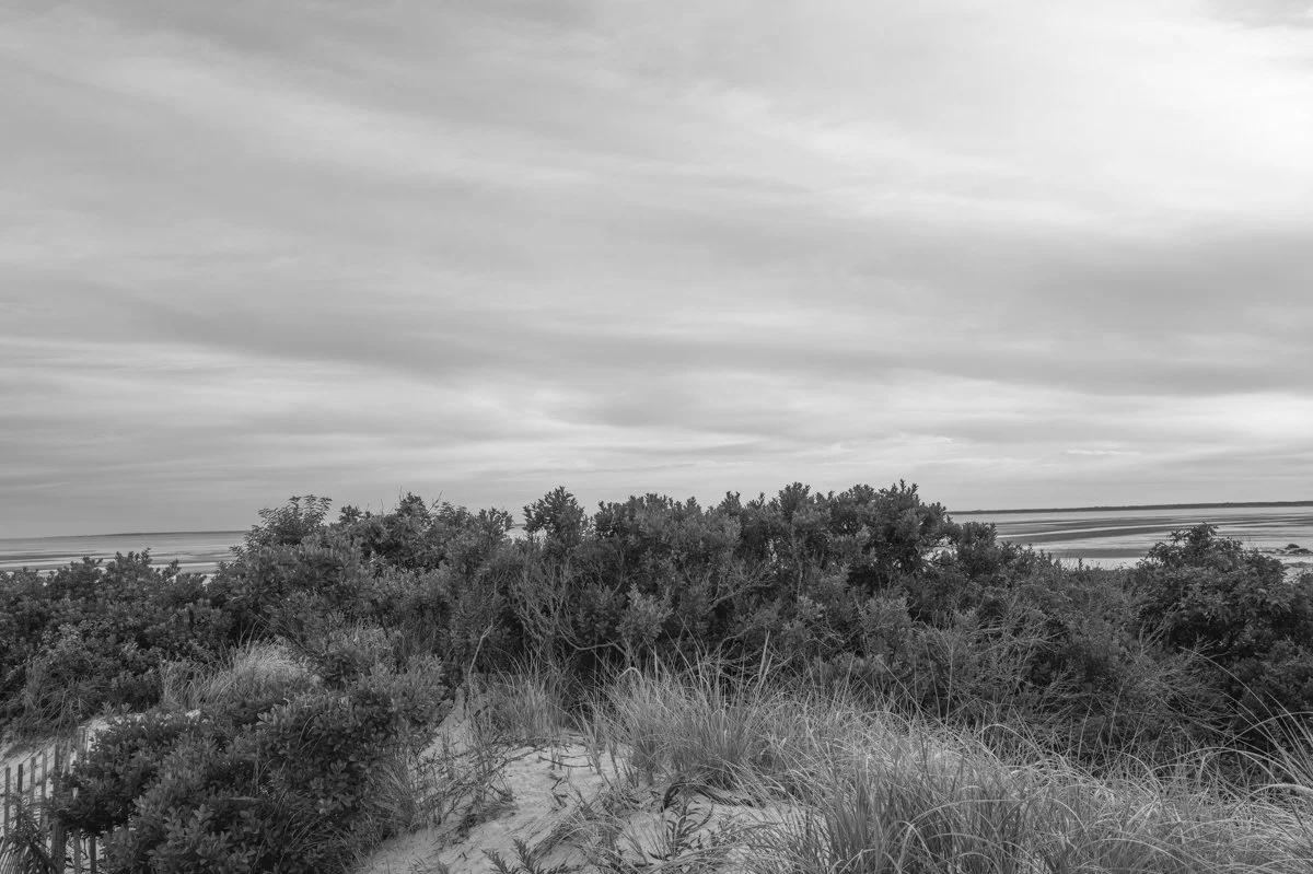 Summer Algorithm Sequence-21.jpg