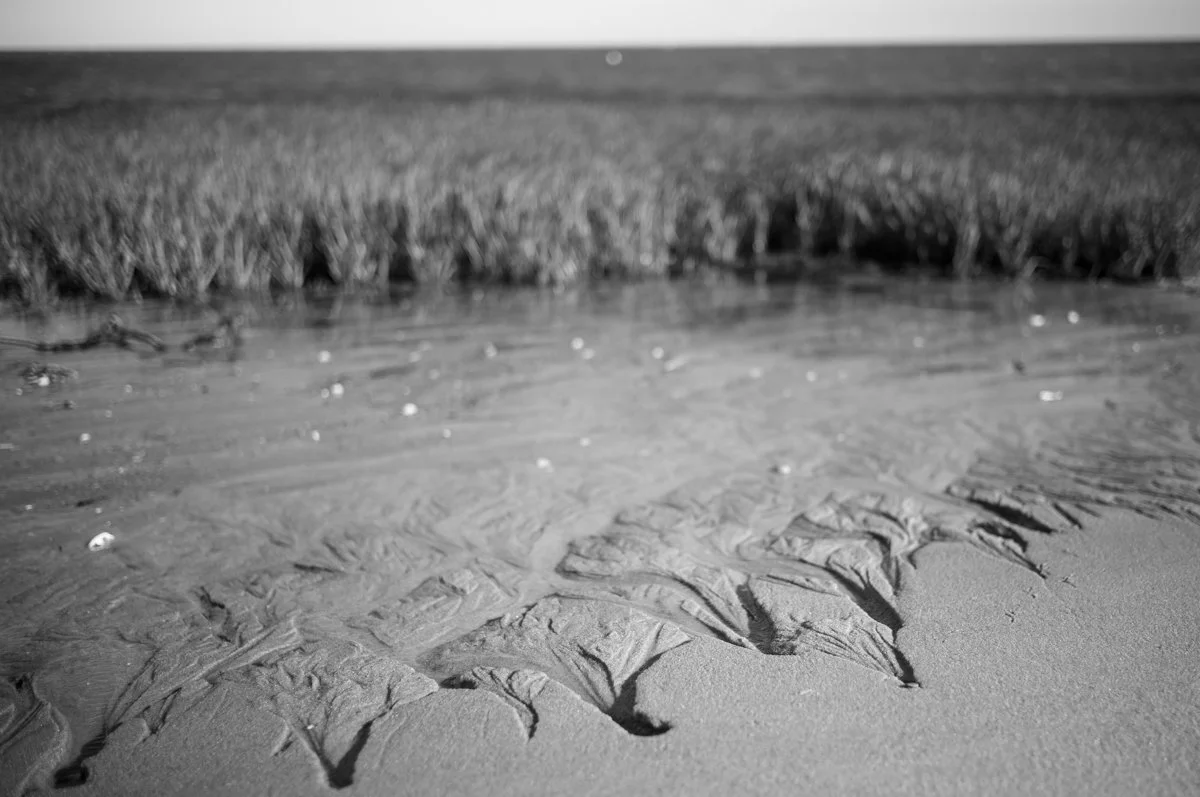 Summer Algorithm-5.jpg