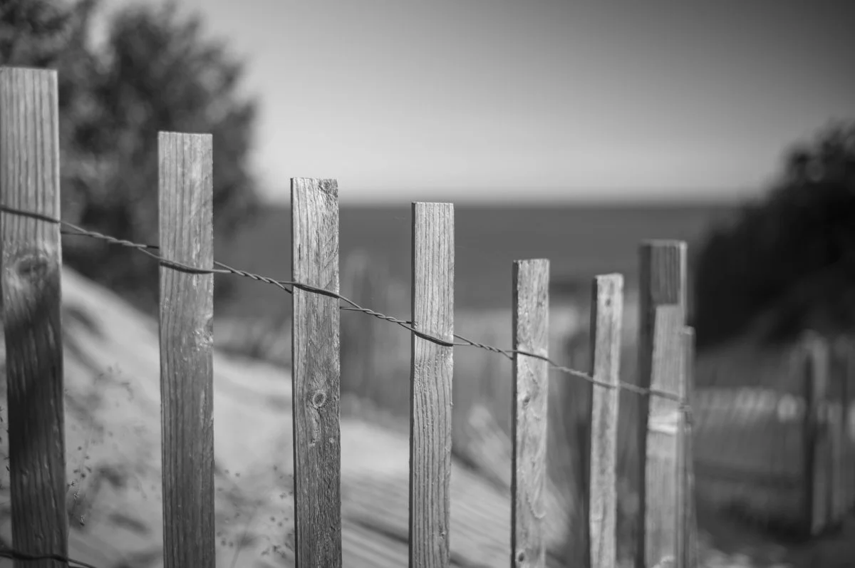 Summer Algorithm-1.jpg