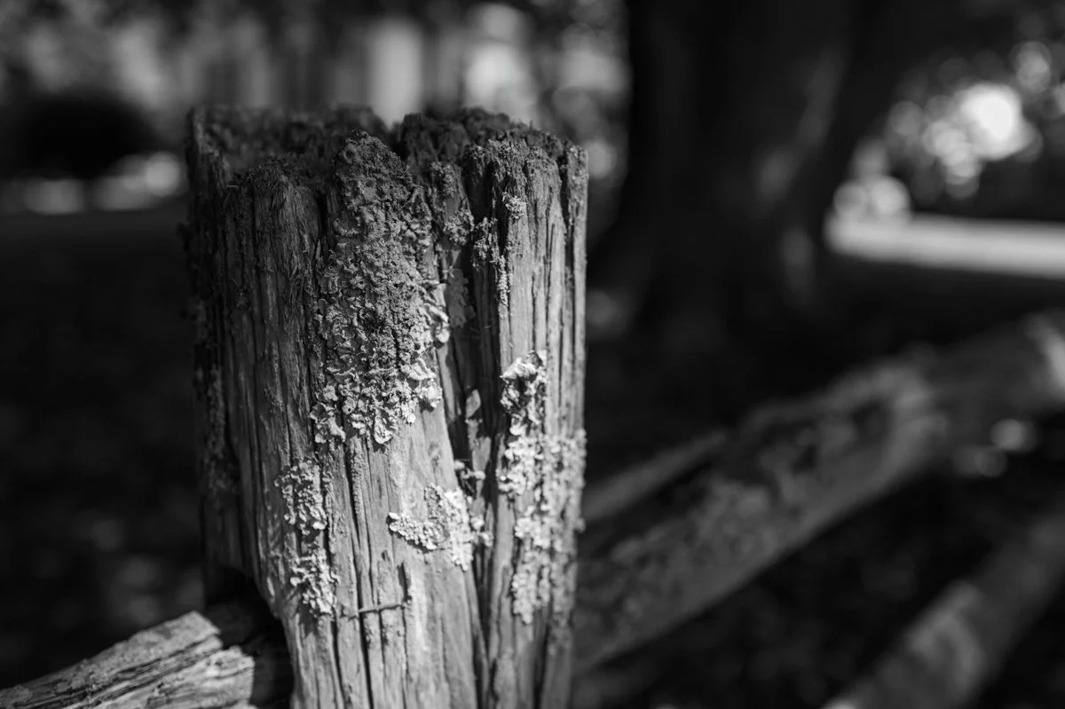 Summer Algorithm Sequence-18.jpg