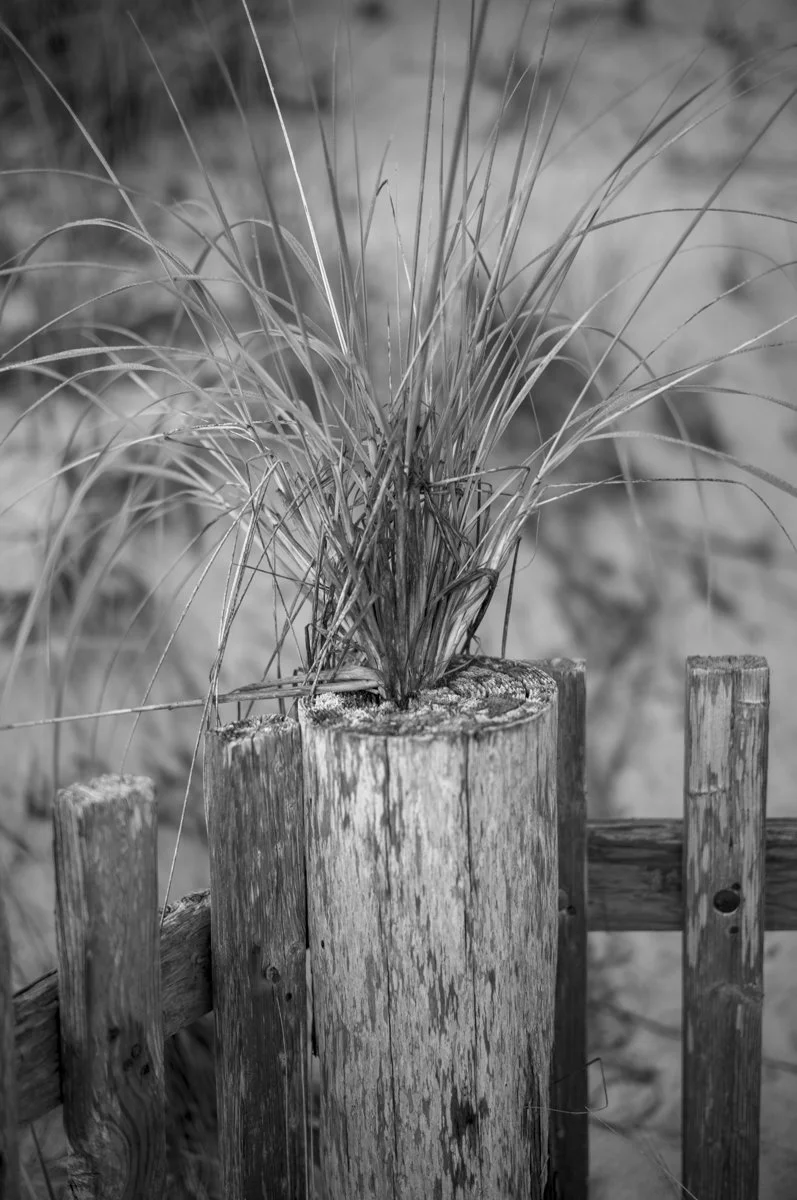 Summer Algorithm Sequence-11.jpg