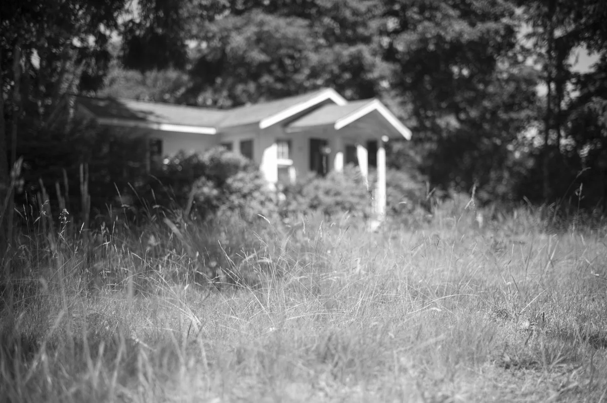 Summer Algorithm Sequence-15.jpg