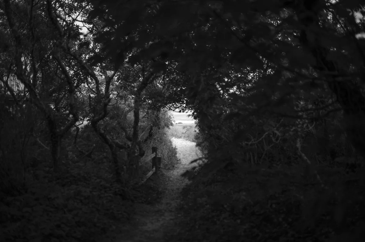 Summer Algorithm Sequence-3.jpg