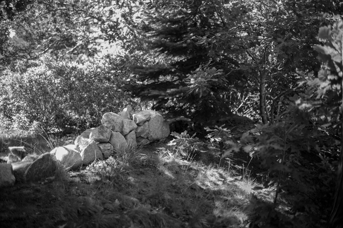 Summer Algorithm Sequence-17.jpg