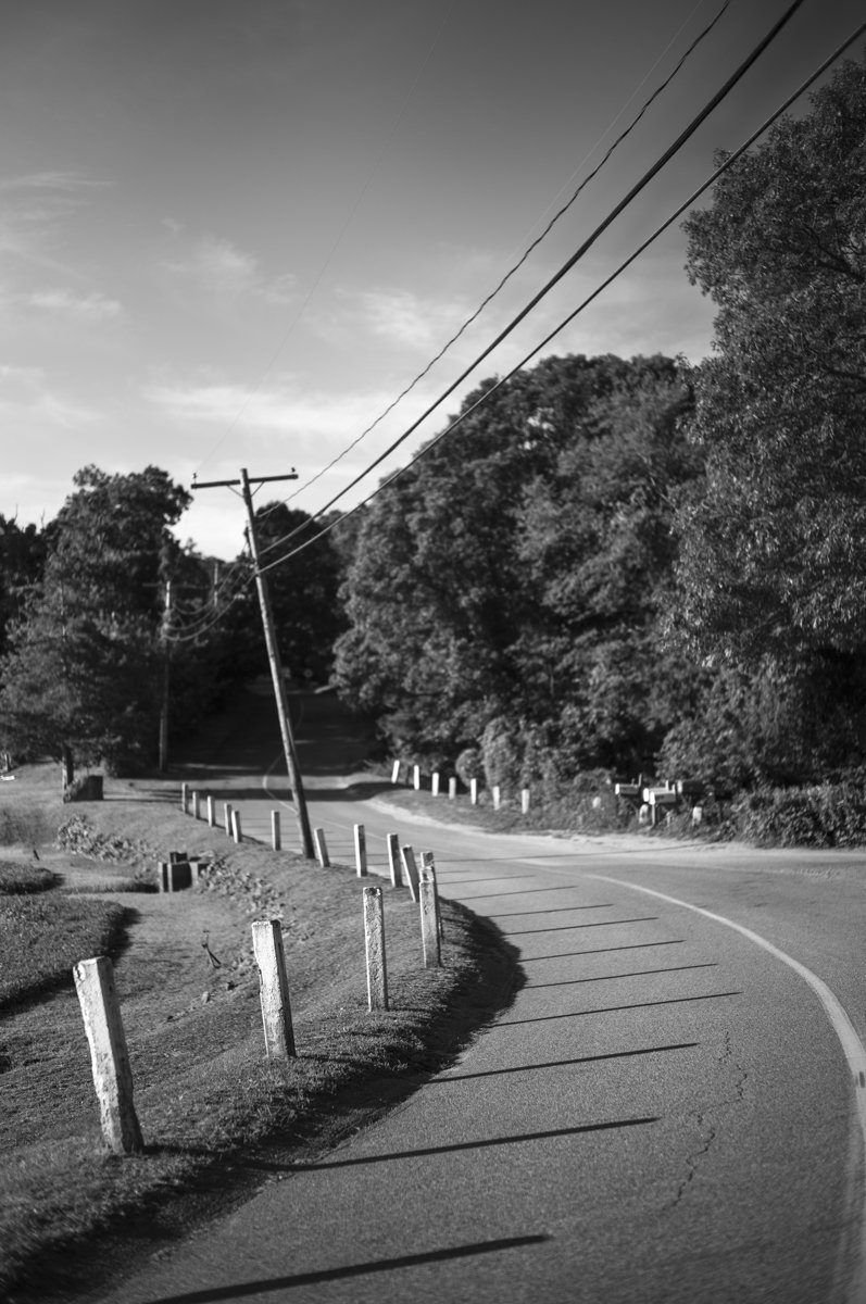 Summer Algorithm Sequence-1.jpg