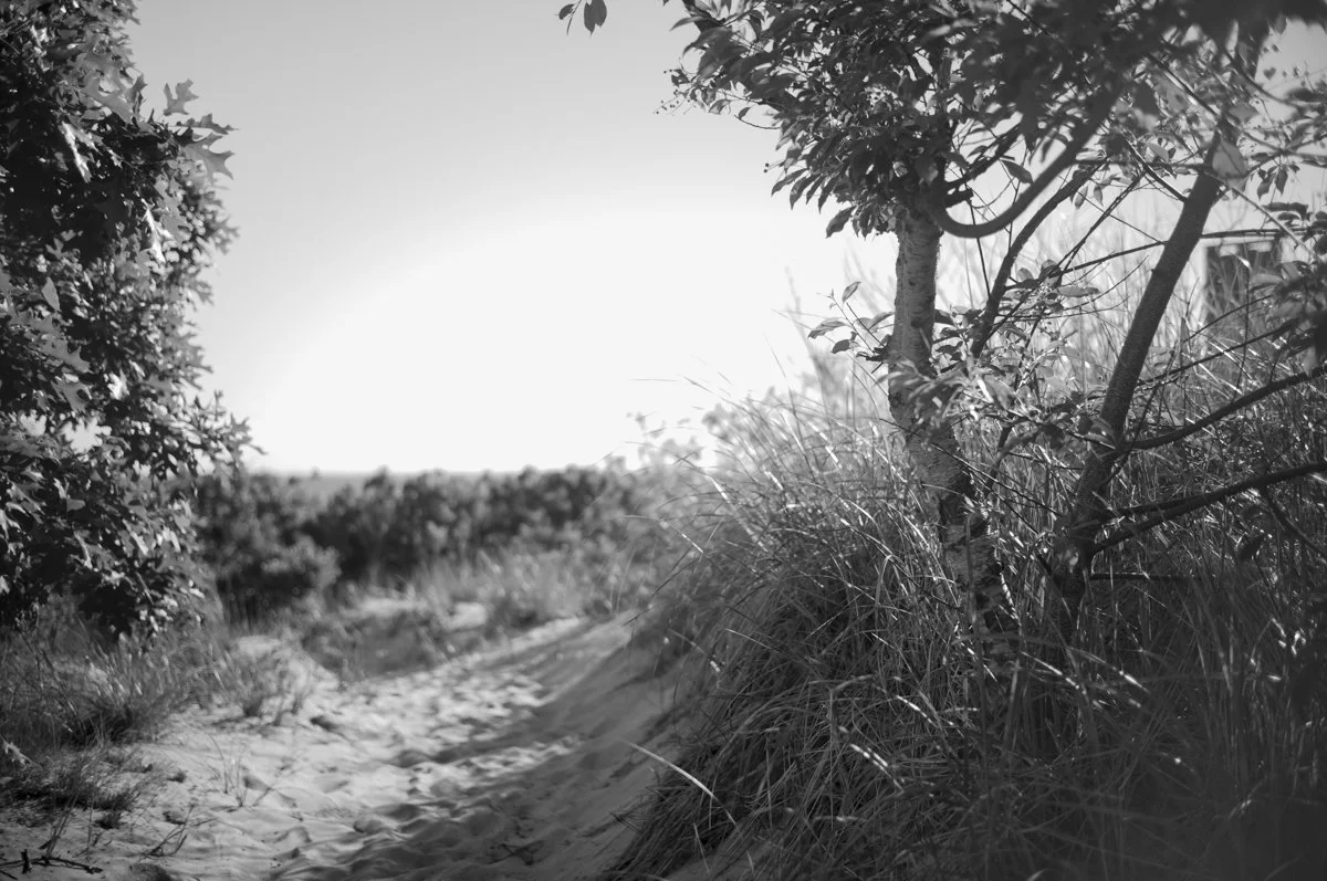 Summer Algorithm-10.jpg