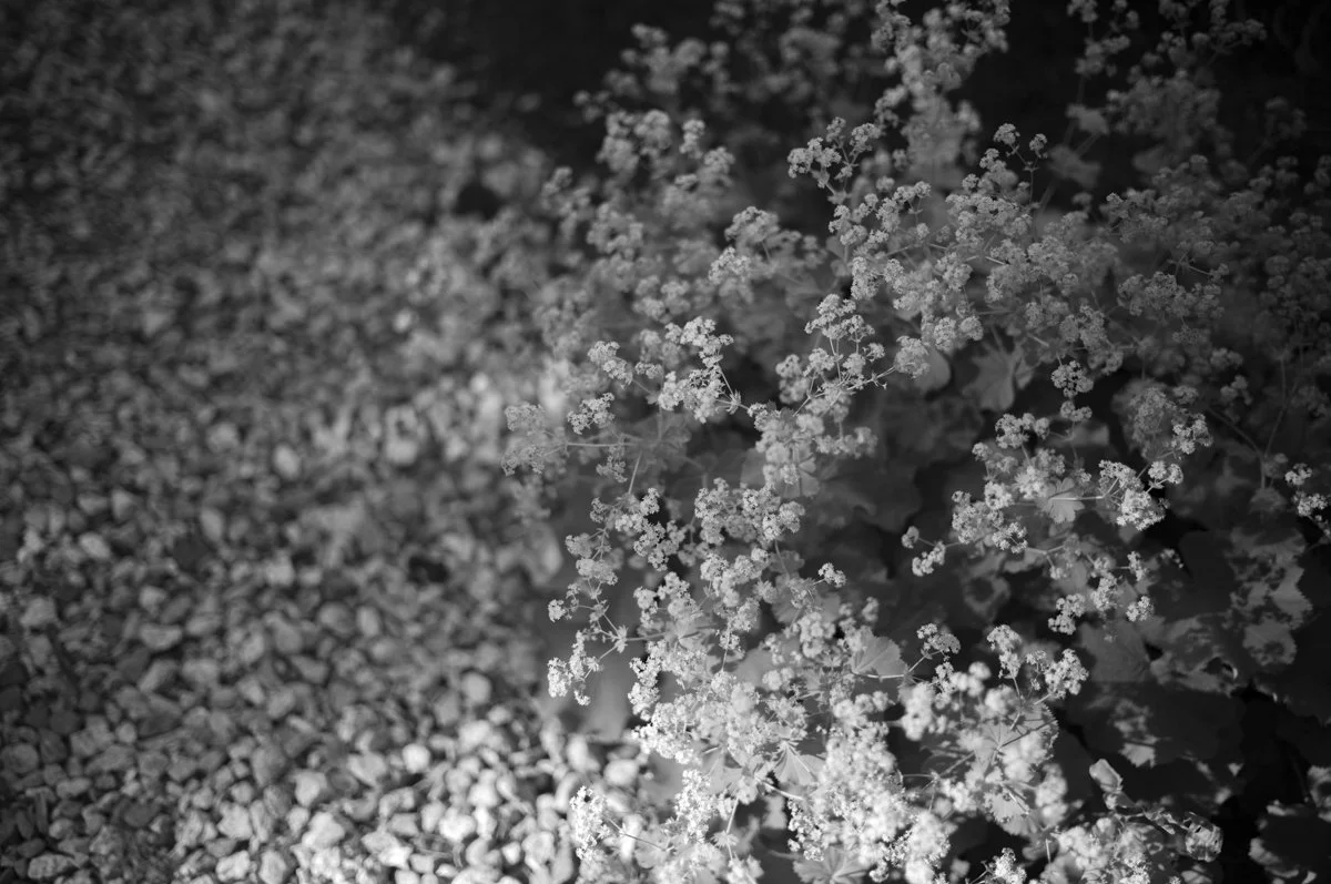 Summer Algorithm Sequence-20.jpg
