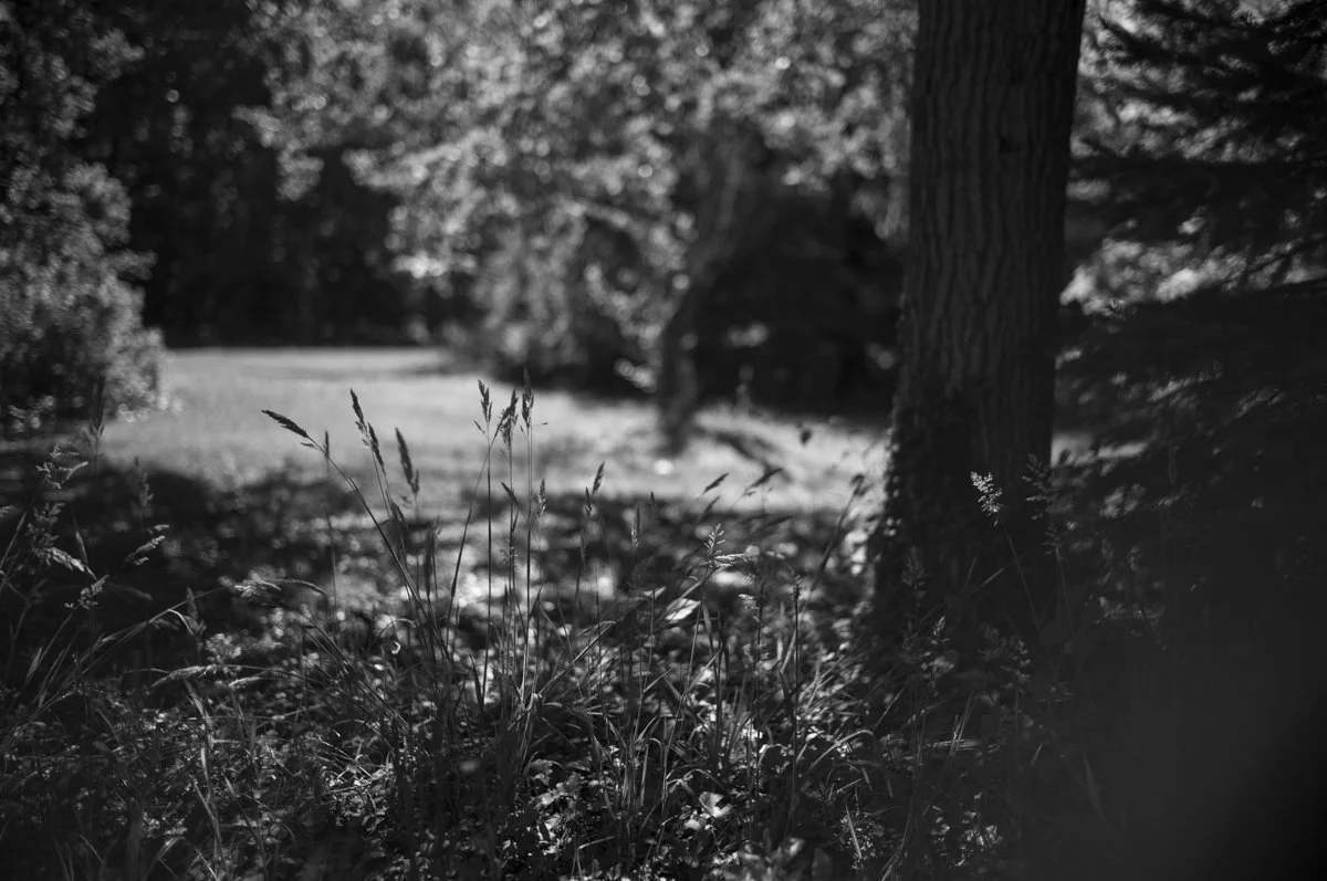 Summer Algorithm Sequence-19.jpg