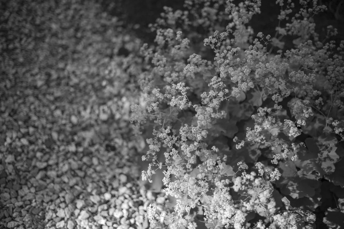 Summer Algorithm-4.jpg
