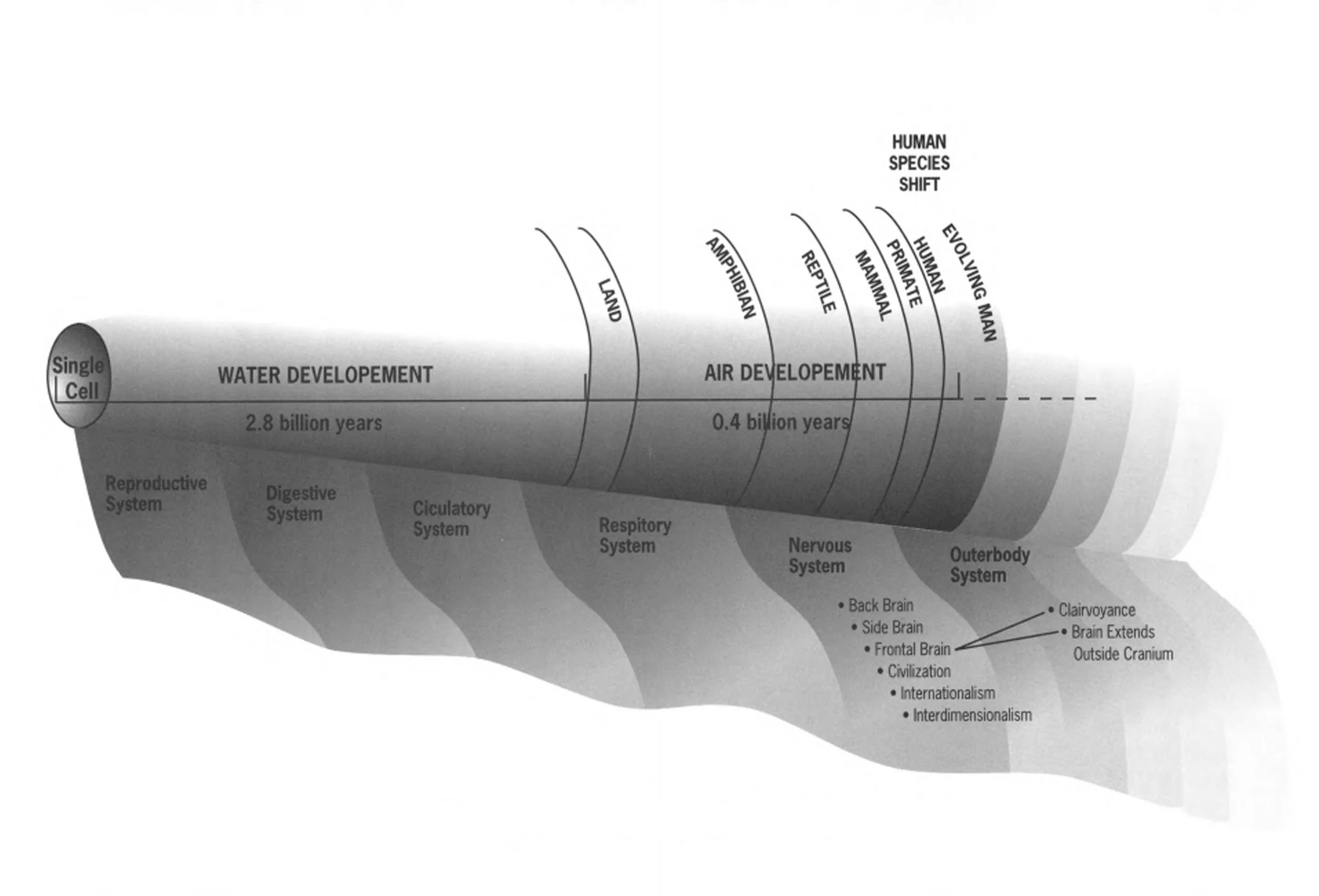 Development of the systems in evolution; the outerbody is now in a phase of rapid development.