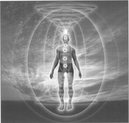 light-body-activation-crown-root.png