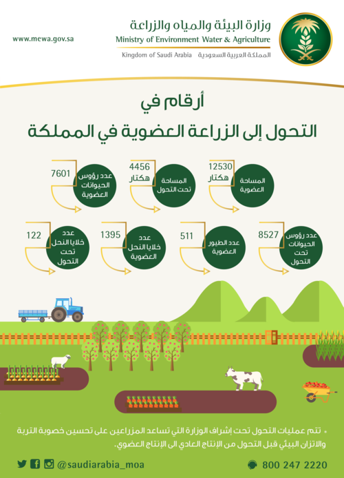_أرقام-في-التحول-إلى-الزراعة-العضوية-في-المملكة.png
