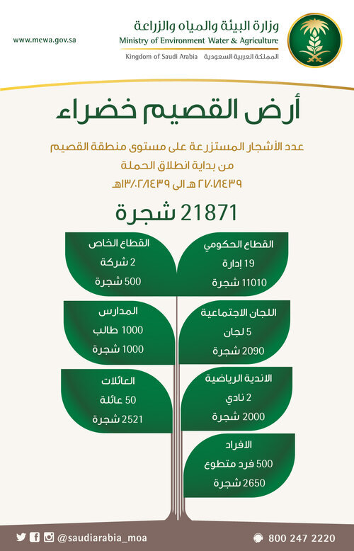 _إحصائية-حملة-تشجير-أرض-القصيم-خضراء.jpg