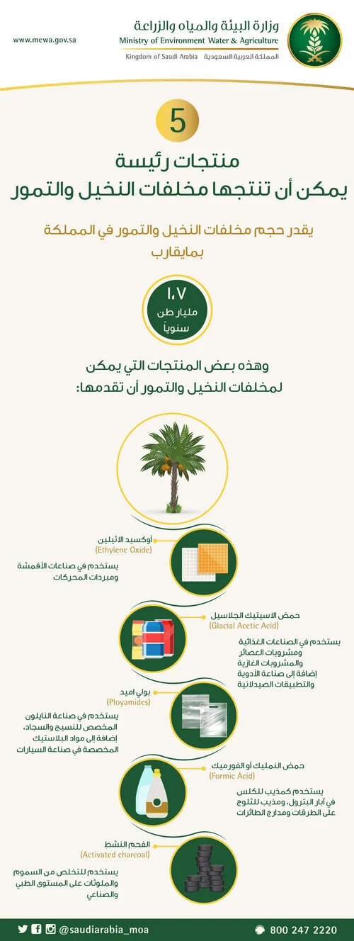 5-منتجات-رئيسة-يمكن-أن-تنتجها-مخلفات-النخيل-والتمور.jpg