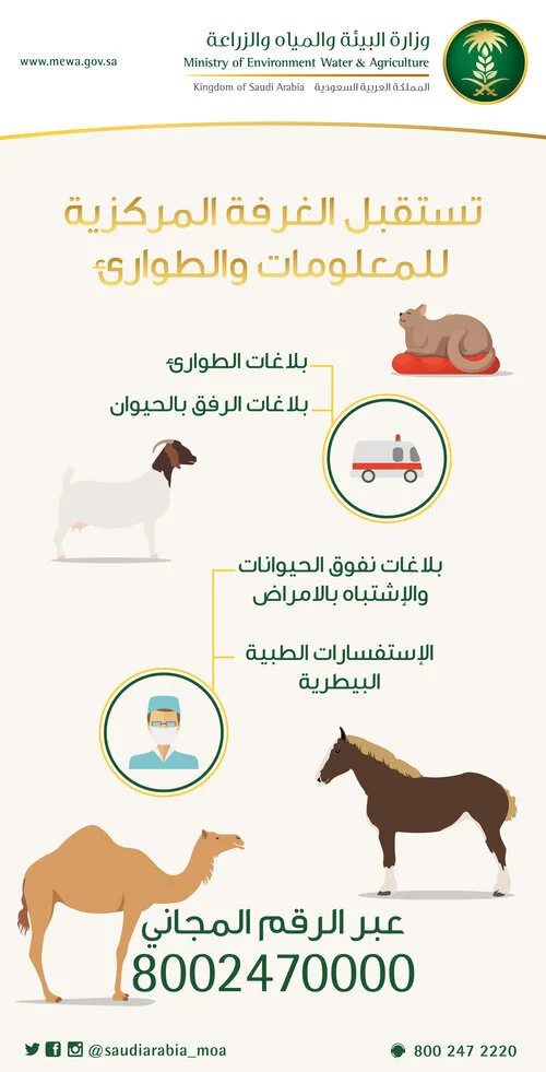 بلاغات-الطوارئ3.jpg